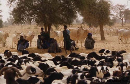 Senegal01